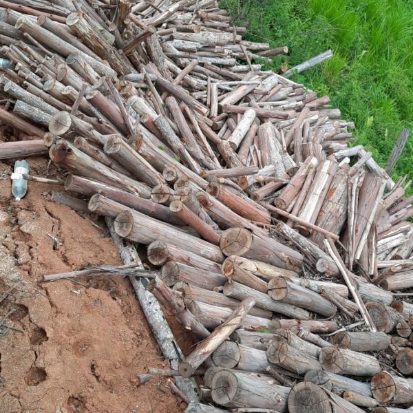 819681da-2153-4691-bc35-6033e2ec0384