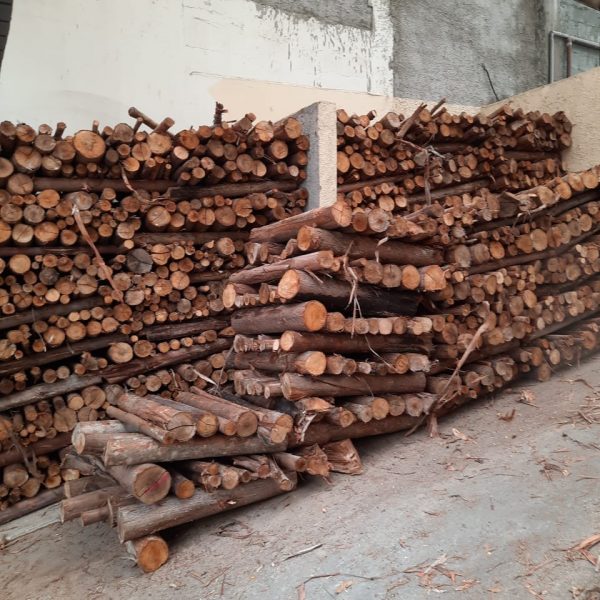 e57a9250-a134-4acd-aa73-64dad9c97a92